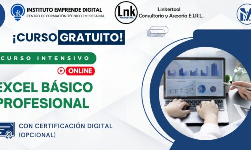 Curso de Excel Básico Profesional (Online)